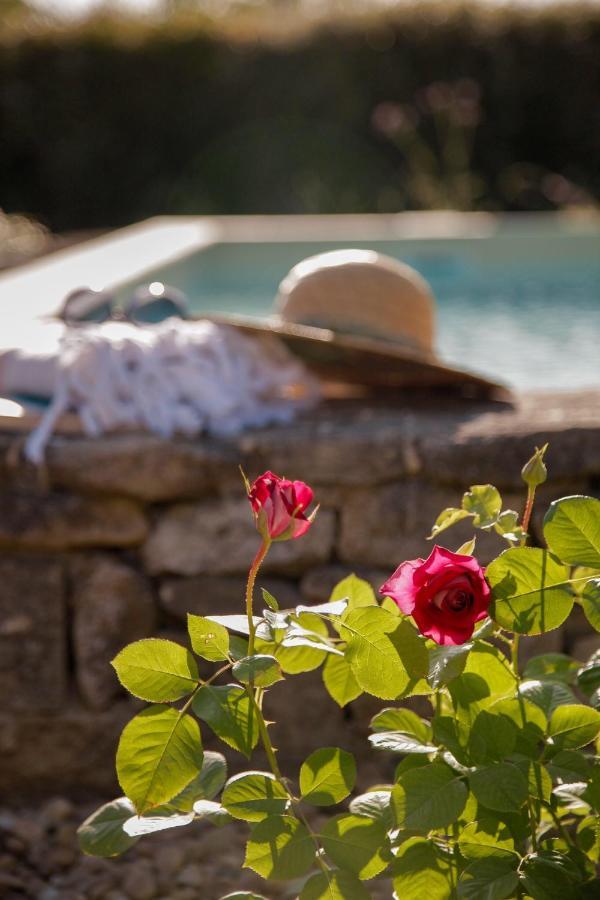 La Figue Noire Bed and Breakfast Caromb Εξωτερικό φωτογραφία